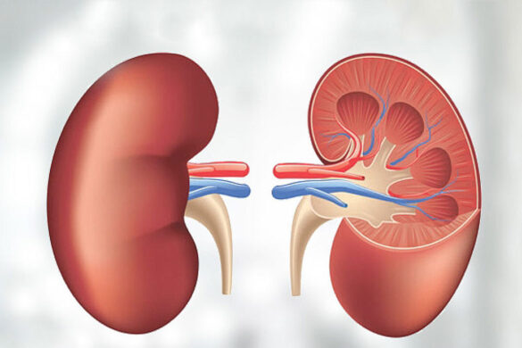 examining-the-key-symptoms-and-causes-of-kidney-failure-medical